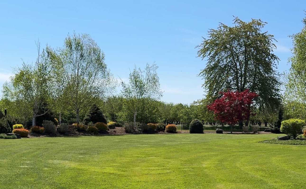 Spring 2025 Willamette Valley